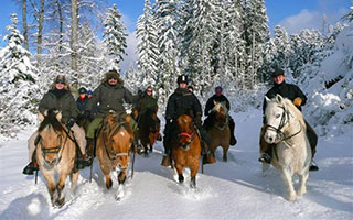 Randonnée à cheval dans le jura en hiver