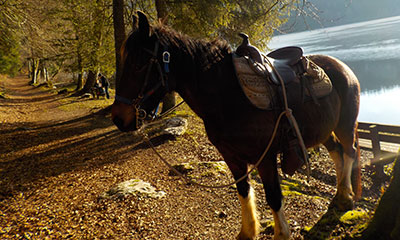 Randonnée à cheval Jura lac
