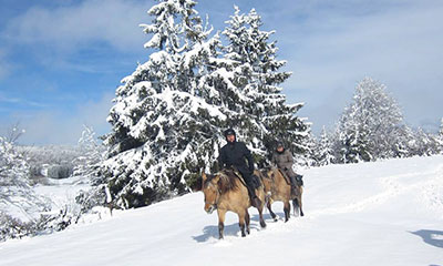 Randonnée à cheval Jura neige