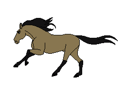 Randonnée à cheval dans le jura