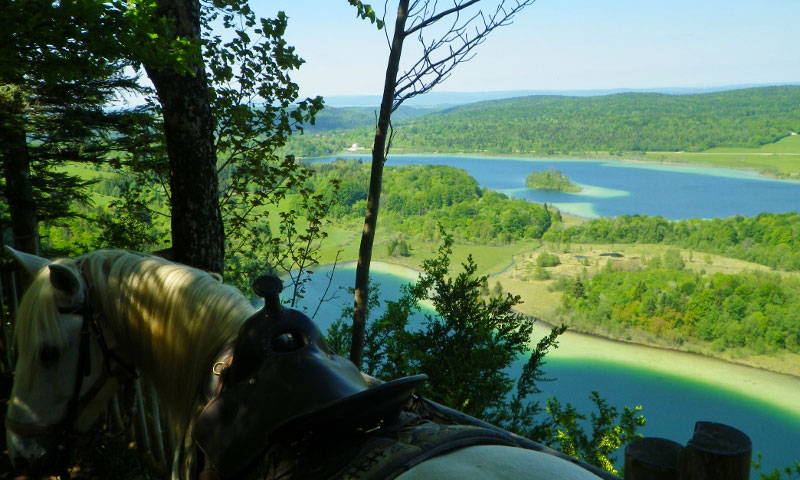 Randonnée à cheval dans le jura autour des lacs