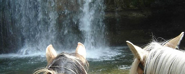 Randonnée à cheval dans le jura autour des monts et rivières