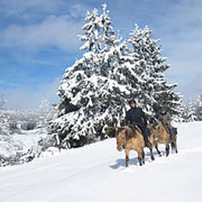 Randonnée hivernales à cheval dans le jura