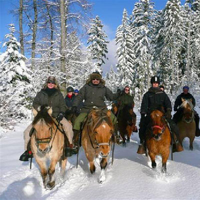 Randonnée hivernales à cheval dans le jura