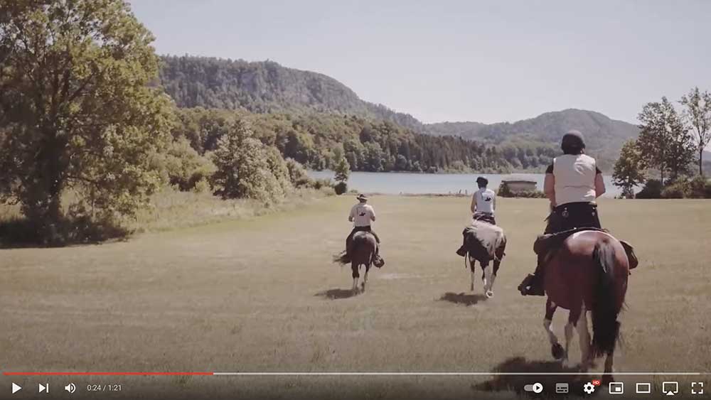 Randonnée à cheval dans le jura hiver