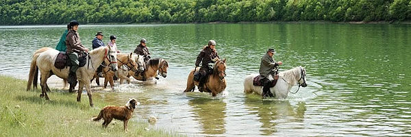 Week-end randonnée à cheval dans le jura