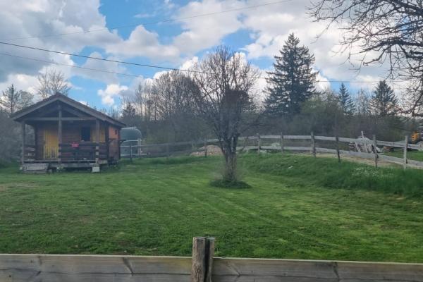 Randonnée à cheval dans le jura
