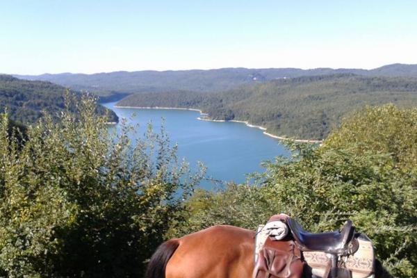 Randonnée à cheval dans le jura