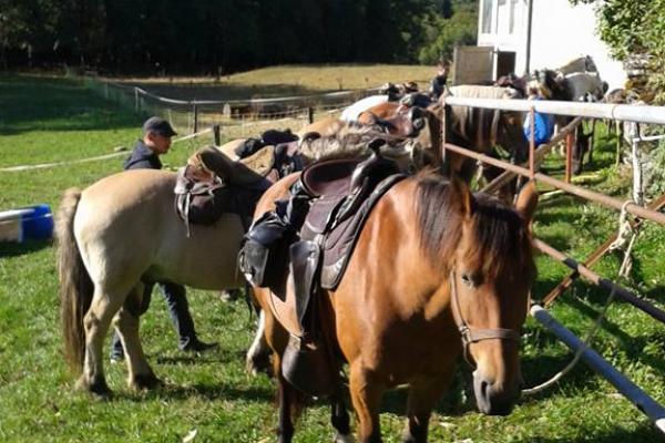 Randonnée à cheval dans le jura