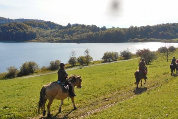 Randonnée à cheval dans le jura