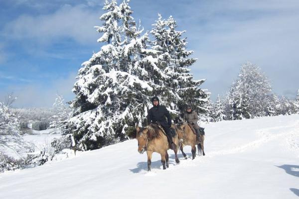 Randonnée à cheval dans le jura