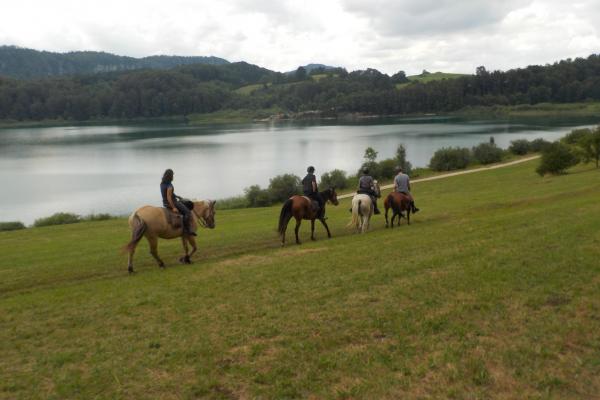 Randonnée à cheval dans le jura