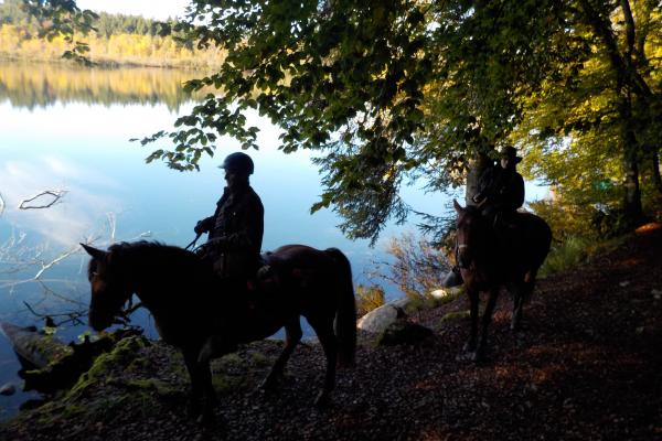 Randonnée à cheval dans le jura