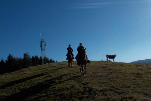 Randonnée à cheval dans le jura