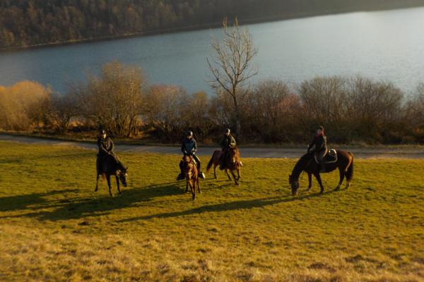 Randonnée à cheval dans le jura