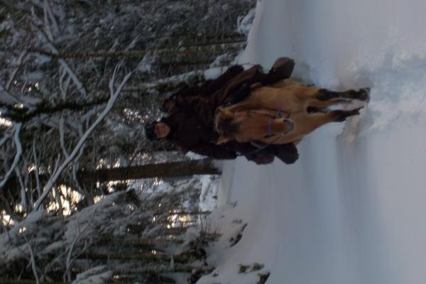 Randonnée à cheval dans le jura