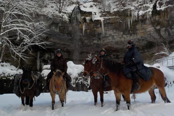 Randonnée à cheval dans le jura