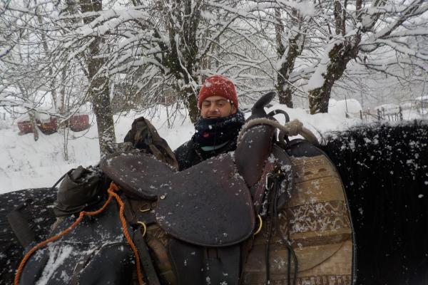 Randonnée à cheval dans le jura