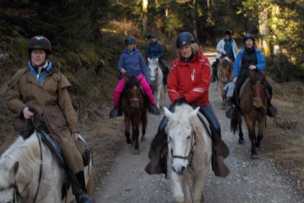 Randonnée à cheval dans le jura