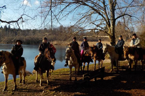 Randonnée à cheval dans le jura