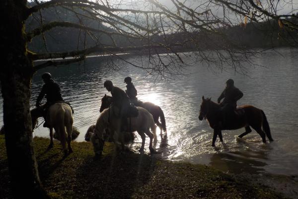 Randonnée à cheval dans le jura