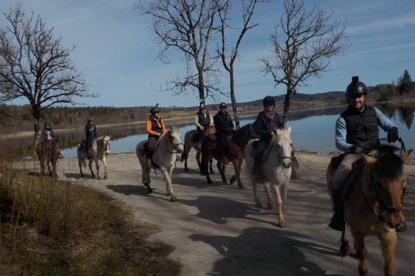 Randonnée à cheval dans le jura