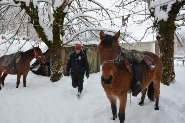 Randonnée à cheval dans le jura