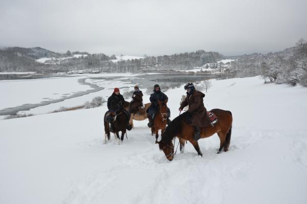 Randonnée à cheval dans le jura