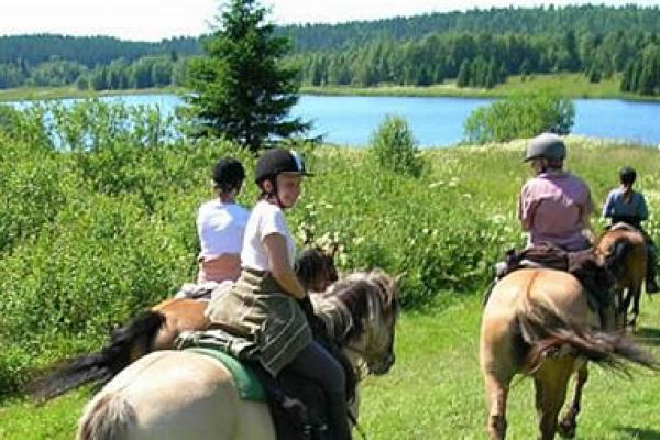 Randonnée à cheval dans le jura