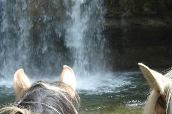 Randonnée à cheval dans le jura