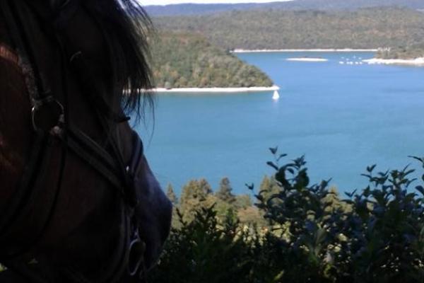 Randonnée à cheval dans le jura