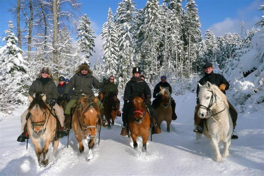 Randonnée à cheval dans le jura en hiver