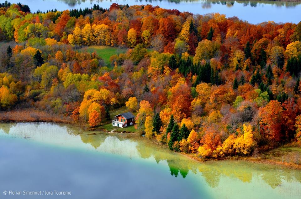 Pour les belles couleurs de l'automne, c'est le moment !